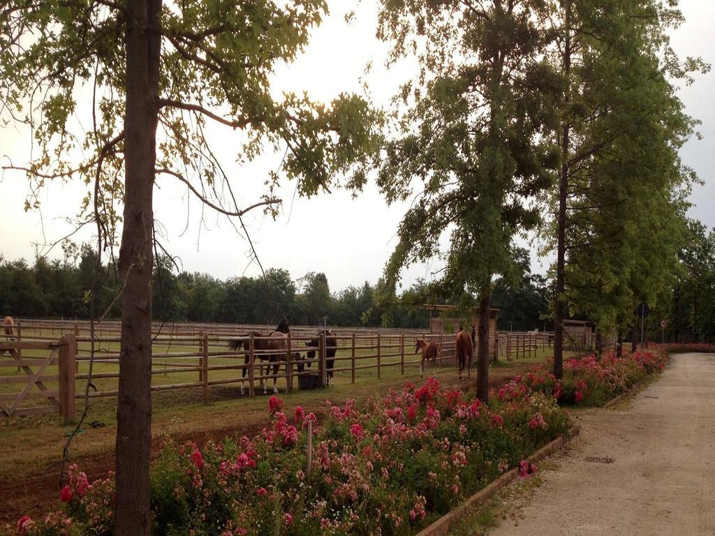 Agriturismo Il Boschetto Ornago Eksteriør billede