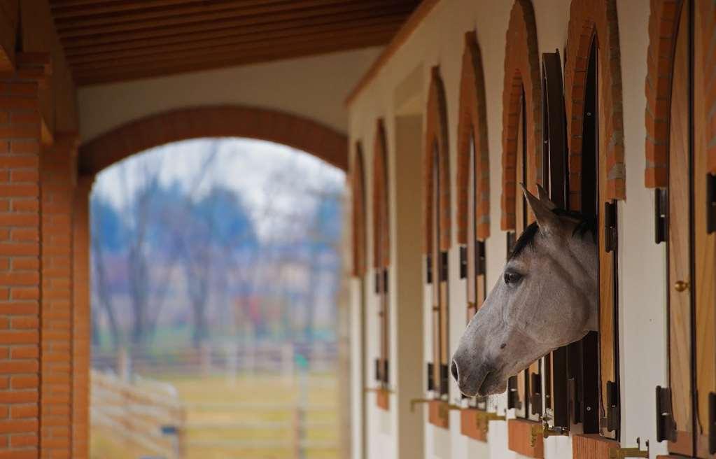 Agriturismo Il Boschetto Ornago Faciliteter billede